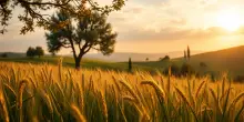 Cesare Pavese e il simbolismo dell’estate