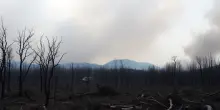 Emergenza incendi in Spagna: oltre 350mila ettari in fiamme