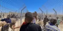 Gaza lotta contro fame e raid, Onu: 1.373 morti mentre cercavano cibo