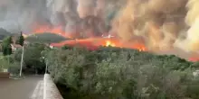 Il più grande incendio estivo in Francia devasta 17.000 ettari