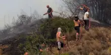 La popolazione si unisce ai Vigili del Fuoco contro i roghi a Patrasso