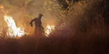 I grandi incendi nel Nord della Spagna, distrutti 70mila ettari