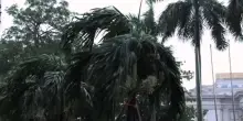 Il tifone Kajiki colpisce il Vietnam: 325mila evacuati