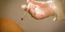 Vaccini, Cnr: "Il tempo tra le dosi può fare la differenza su diffusione epidemica"