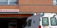 Shock anafilattico dopo una puntura d’insetto: ricovero d’emergenza non evita la tragedia