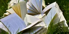 Libri di agosto: consigli di lettura