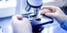 Il ministro Schillaci interviene sulla commissione vaccini: la revoca divide