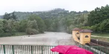 Nubifragio con venti a 100 km/h e grandine in Romagna: molti danni e alberi caduti