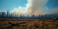 Incendi boschivi in California: il caso Gifford e le sue implicazioni