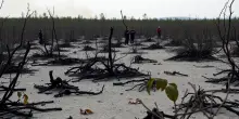 Incendio boschivo in Francia: oltre 160 km² distrutti e una vittima