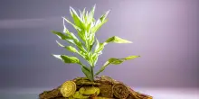 2025: risparmi e investimenti tra prudenza e crescente interesse per il sostenibile