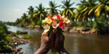 Ken Saro-Wiwa: eroe nazionale o vittima dimenticata?