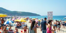 La spesa per le vacanze estive: un’analisi scomoda