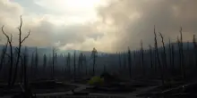 L’aumento degli incendi boschivi in Spagna: dati sconvolgenti