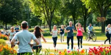 Malattie cardiovascolari: un calo drammatico delle vittime