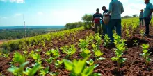 Riforestazione in Etiopia: oltre 40 miliardi di alberi piantati in sei anni