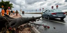 Tempesta con venti a 100 km/h provoca danni in Romagna