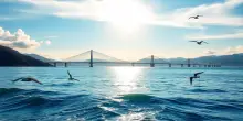 Via libera al progetto del Ponte sullo Stretto di Messina