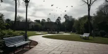 West Nile: sei vittime nel Lazio, nuova emergenza sanitaria