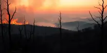 Emergenza incendi in Portogallo e Spagna: la crisi del 2025