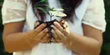 Bani, Ad Veos: transizione energetica passaggio obbligato