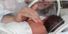 Medicina, in bebè prematuri sangue placenta può prevenire complicanze, studio italiano