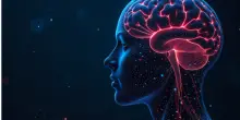 Sanità, disturbi neurologici funzionali: specialisti Sin chiedono un cambio paradigma