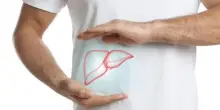 Steatosi epatica, studio dimostra efficacia nutraceutico con alghe brune