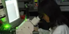Sclerosi multipla, nuovi criteri per diagnosi più rapide e precise
