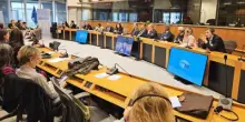 Ue, Confagricoltura-Federlegnoarredo su deforestazione: semplificare nuovi obblighi