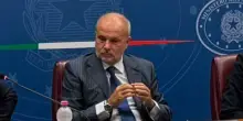 Schillaci: "Api essenziali per ecosistemi, loro tutela priorità sanitaria e sociale"