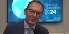 Sostenibilità, Cartiere Carrara: nel 2024 piantumati 15.000 alberi