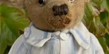 "A Teddy Bear serve un nuovo look". Lappello della scienza per peluche eco-maestri