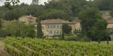 Blitz dell’ICQRF e Guardia di Finanza: maxi sequestro di vino irregolare in Basilicata e Puglia