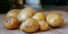 Cosa succede se mangio le patate germogliate? Ecco tutti i rischi per la salute