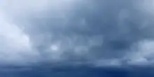 Cosa sta succedendo sulle spiagge romagnole? I granchi blu in aumento