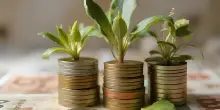 Un anno distinto dalla forte crescita economica: tanti investimenti e tanti utili