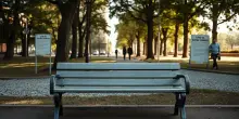 Analisi Completa dei Femminicidi in Italia: Trend e Dati del 2025