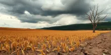 Cambiamento climatico: cosa non ci dicono davvero
