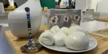 Mozzarella di bufala campana Dop, il Consorzio alla fiera Anuga di Colonia