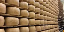 Boom Parmigiano Reggiano: caseifici aperti ed export da record