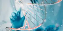 Malattie rare, da oggi rimborsabile la prima terapia di editing genetico