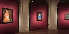 Picasso e Modigliani, a Padova vanno in scena le avanguardie