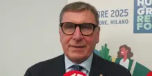 Food, Lusetti (Conad): "Prodotti a marchio contribuiscono a diffusione dieta mediterranea"