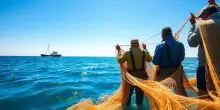 Fermare la pesca a strascico in Europa: un appello per la protezione marina