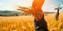Giornata Mondiale dell’Alimentazione: Riflessioni sulla Sicurezza Alimentare e il Futuro Sostenibile