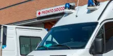 Paura nel Torinese, sciame di calabroni attacca 30 persone: diverse punture, un trasporto in ospedale