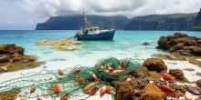 L’urgenza di abolire la pesca a strascico nei Parchi Marini Protetti in Europa