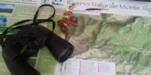 Tuffo nella natura. Escursioni nella riserva del Monte Alpe