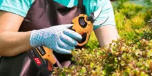 Queste forbici elettriche offrono 7 ore di autonomia: l’affare per il tuo giardino